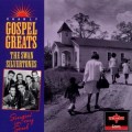 Buy The Swan Silvertones - Singin' In My Soul: Gospel Greats Mp3 Download