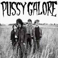 Purchase Pussy Galore - Groovy Hate Fuck (Feel Good About Your Body)