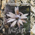 Buy My Sister's Machine - Wallflower Mp3 Download