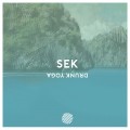 Buy Sek - Drunk Yoga Mp3 Download
