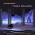 Buy Aum Orchestra - Yoga Healing Mp3 Download