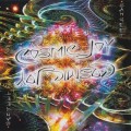 Buy Sangeet - Cosmic Joy Mp3 Download