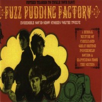 Purchase VA - Incredible Sound Show Stories Vol. 12: Fuzz Pudding Factory (Vinyl)