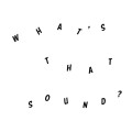 Buy Daniel Woolhouse - What's That Sound? Mp3 Download