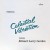 Buy Laraaji - Celestial Vibrations (Vinyl) Mp3 Download