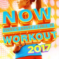Purchase VA - Now That's What I Call A Workout 2017