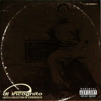 Purchase DL Incognito - Life's A Collection Of Experiences