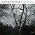 Buy Tomasz Stanko New York Quartet - December Avenue Mp3 Download