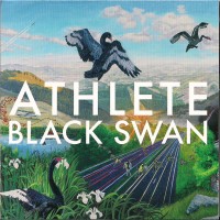 Purchase Athlete - Black Swan