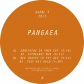 Buy Pangaea - New Shapes In The Air Mp3 Download