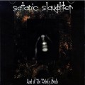 Buy Satanic Slaughter - Land Of The Unholy Souls Mp3 Download