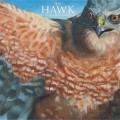 Buy Shawn James & The Shapeshifters - The Hawk Mp3 Download