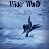 Purchase Derek & Brandon Fiechter - Water World