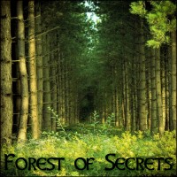 Purchase Derek & Brandon Fiechter - Forest Of Secrets