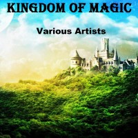 Purchase Derek & Brandon Fiechter - Kingdom Of Magic