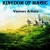 Purchase Derek & Brandon Fiechter- Kingdom Of Magic MP3