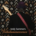 Buy Andy Summers - Triboluminescence Mp3 Download