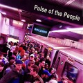 Buy Waldino - Pulse Of The People Mp3 Download