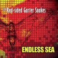 Buy Red Sided Garter Snakes - Endless Sea Mp3 Download