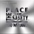 Purchase Boo Williams- The Place Of Safety (VLS) MP3