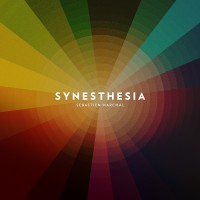 Purchase Workbench - Synesthesia