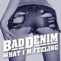 Buy Bad Denim - What I'm Feeling Mp3 Download