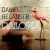 Buy Daniel Belanger - Paloma Mp3 Download