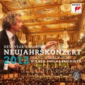 Buy Wiener Philharmoniker - Neujahrskonzert 2013 CD1 Mp3 Download