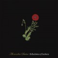 Buy Alexandra Savior - Belladonna Of Sadness Mp3 Download