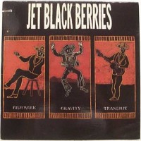 Purchase The Jet Black Berries - Animal Necessity