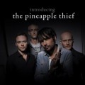 Buy The Pineapple Thief - Introducing The Pineapple Thief Mp3 Download