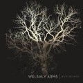 Buy Welshly Arms - Bad Blood (CDS) Mp3 Download