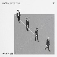 Purchase Winner - Fate Number For (CDS)