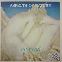 Purchase Ralph Lundsten - Aspects Of Nature - Fantasia (Vinyl)