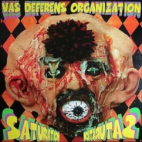 Purchase Vas Deferens Organization - Saturation