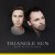 Buy Triangle Sun - Born In The Silence Mp3 Download