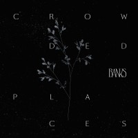 Purchase Banks - Crowded Places (CDS)