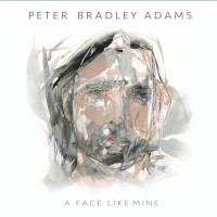 Purchase Peter Bradley Adams - A Face Like Mine