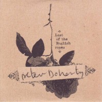 Purchase Peter Doherty - Last Of The English Roses (CDS)