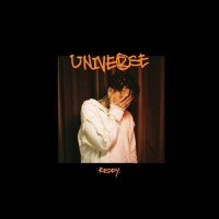 Purchase Reddy - Universe