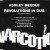 Purchase Ashley Beedle- Revolutions In Dub (The Remix Mafia) (CDS) MP3