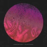 Purchase Findlay - Forgotten Pleasures