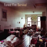 Purchase Forest Fire - Survival