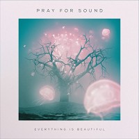 Purchase Pray For Sound - Everything Is Beautiful