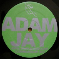 Purchase Adam Jay - Configured For Damage (VLS)