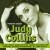 Buy Judy Collins - Forever Green Mp3 Download