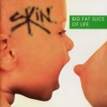 Buy Skin - Big Fat Slice Of Life Mp3 Download
