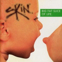 Purchase Skin - Big Fat Slice Of Life