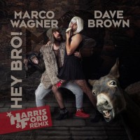 Purchase Marco Wagner & Dave Brown - Hey Bro (CDS)