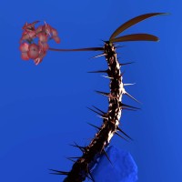 Purchase Flume - Hyperreal (CDS)